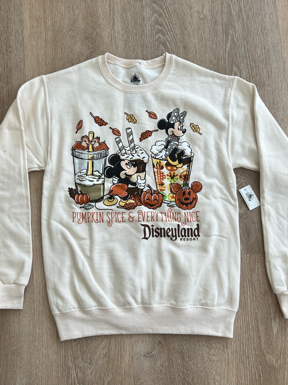 Disneyland Autumn Mickey & Minnie Sweatshirt